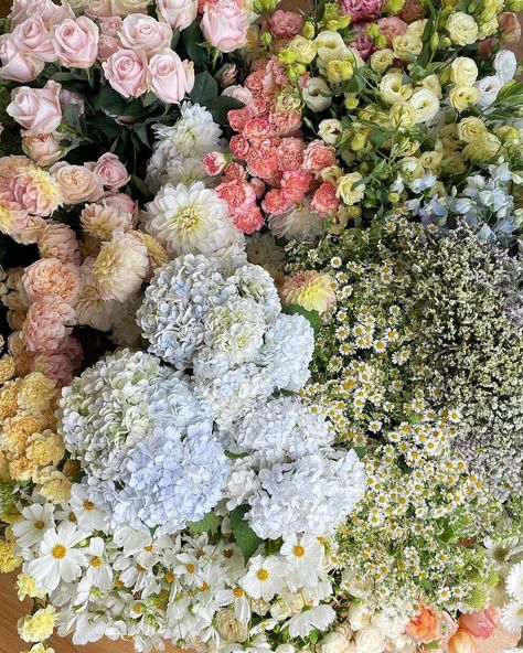 Bloom Into Spring: The prettiest flowers to plant now that the sun’s here! 🌷