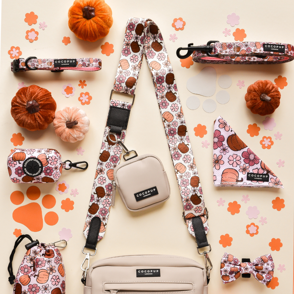 Dog Walking Caramel Latte Bag Bundle - Pumpkin Meadow