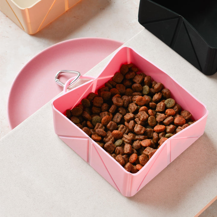 Foldable Travel Bowl by Cocopup - Pink